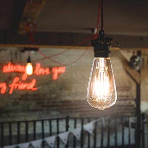 LED Edison Bulb (Warm White 2700k / 3 Count (Pack of 1))