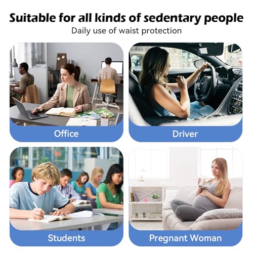 Really Supportive Lumbar Support Pillow for Car (Backsaver-six)