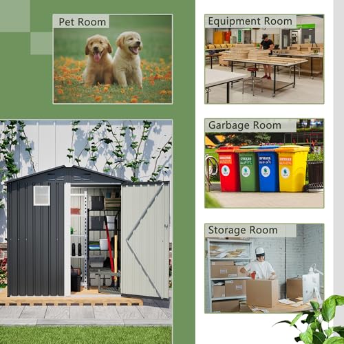 Outdoor Storage Shed (6x4 Ft-with window / Black)