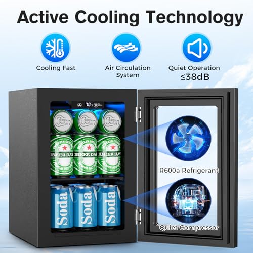 24 Cans Beverage Refrigerator Cooler (Black)