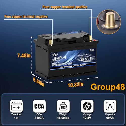 Group48 LiFePO4 Lithium (BCI-G48)