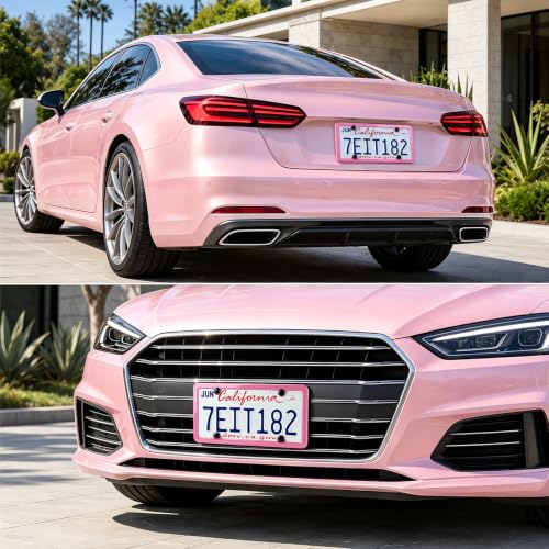 4 Holes Stainless Steel License Plate Frames (Pink)