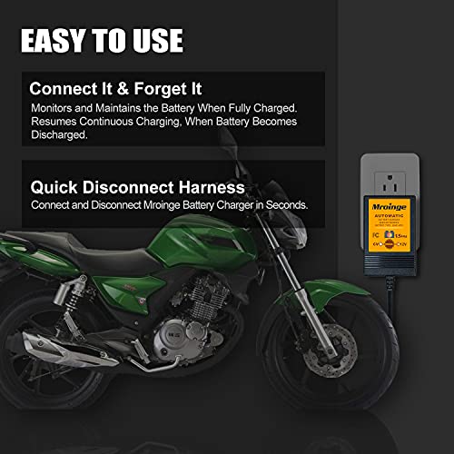 Smart Battery Charger (6V/12V @ 1.5 AMP)