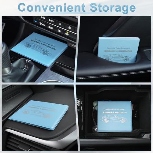 Car Registration and Insurance Card Holder (Mesh Texture Light blue)