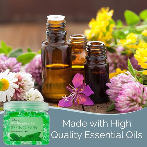 Odor Eliminator Gel (Spring Rain)