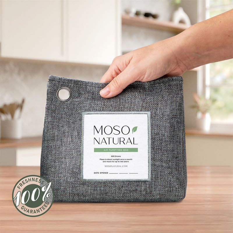 Air Purifying Bag 600g (600 g (Pack of 2))