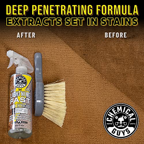 Lightning Fast Carpet & Upholstery Stain Extractor (16 Fl Oz (Pack of 1))