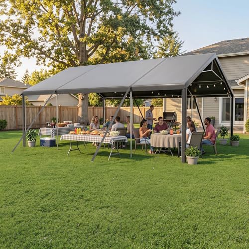 20x20 FT Heavy Duty Carport (20x20 FT(Black))