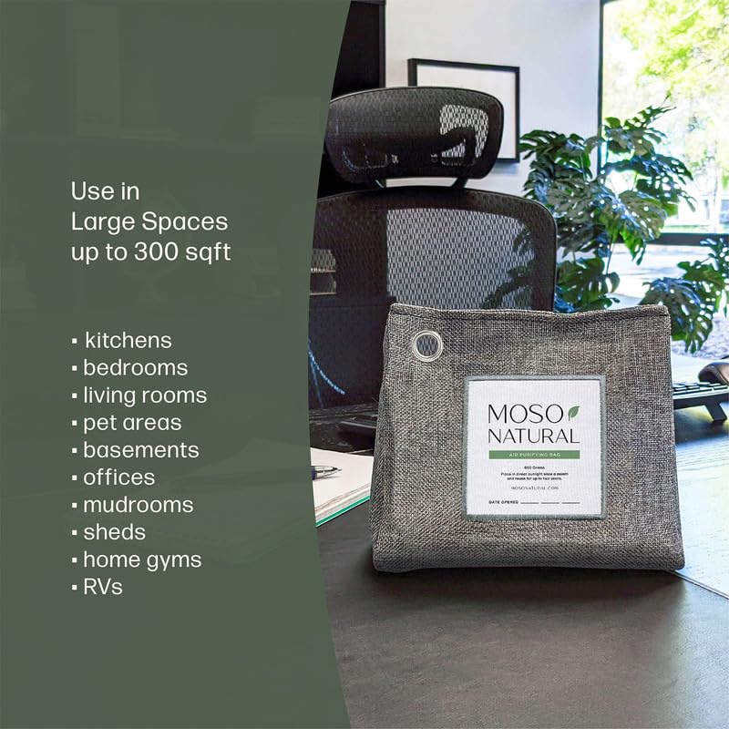 Air Purifying Bag 600g (600 g (Pack of 2))