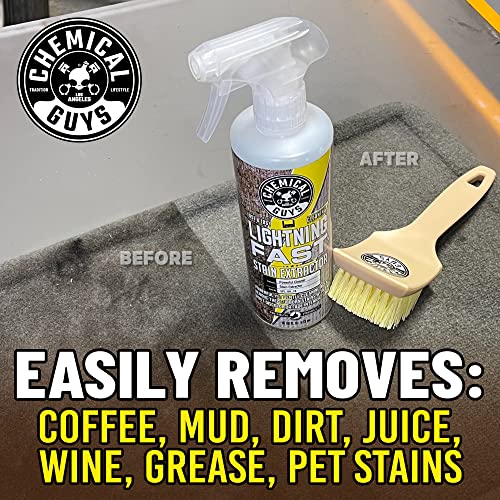 Lightning Fast Carpet & Upholstery Stain Extractor (128 Fl Oz (Pack of 1))