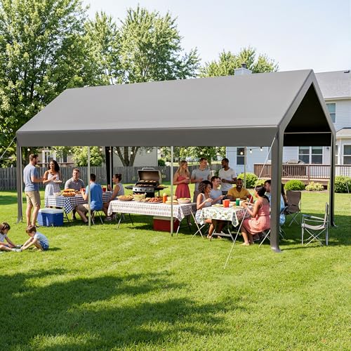 20x12 FT Heavy Duty Carport (12x20 FT(Black))