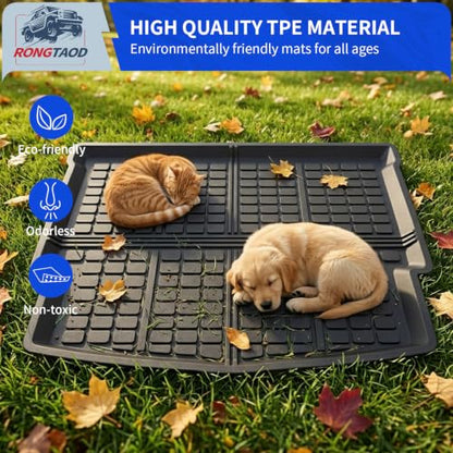 Trunk Mat & Backrest Mats for 2021