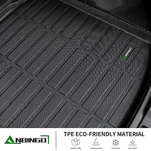 Floor Mats & Cargo Liner for Toyota Camry 2007