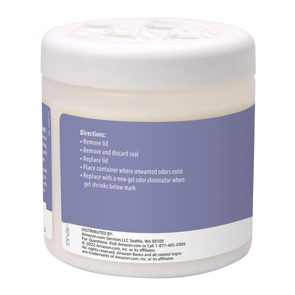 Gel Odor Eliminator (17 Ounce (Pack of 1))