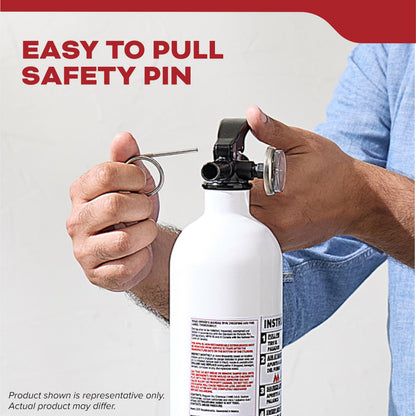 Auto 10 Fire Extinguisher for Cars and Trucks (Small - 2.9 lbs.)