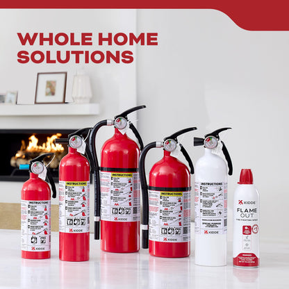 Auto 10 Fire Extinguisher for Cars and Trucks (Small - 2.9 lbs.)