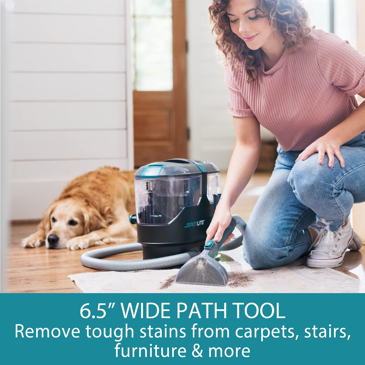 KW2001 SpotLite Portable Carpet Spot Cleaner & Pet Stain Remover (Gray)