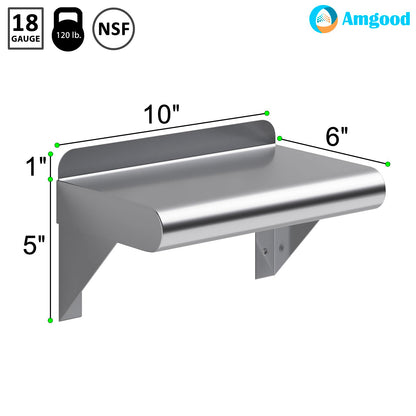 6 in. Deep x 10 in. Wide Stainless Steel Wall Mount Shelf (6 in. Deep x 10 in. Wide)