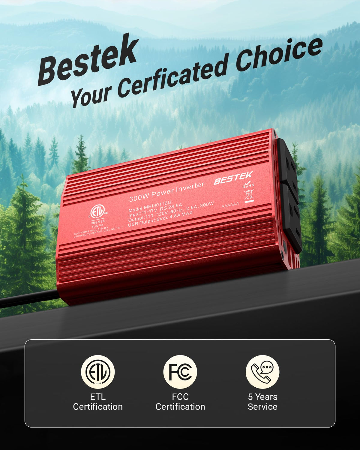 Power Inverter DC 12